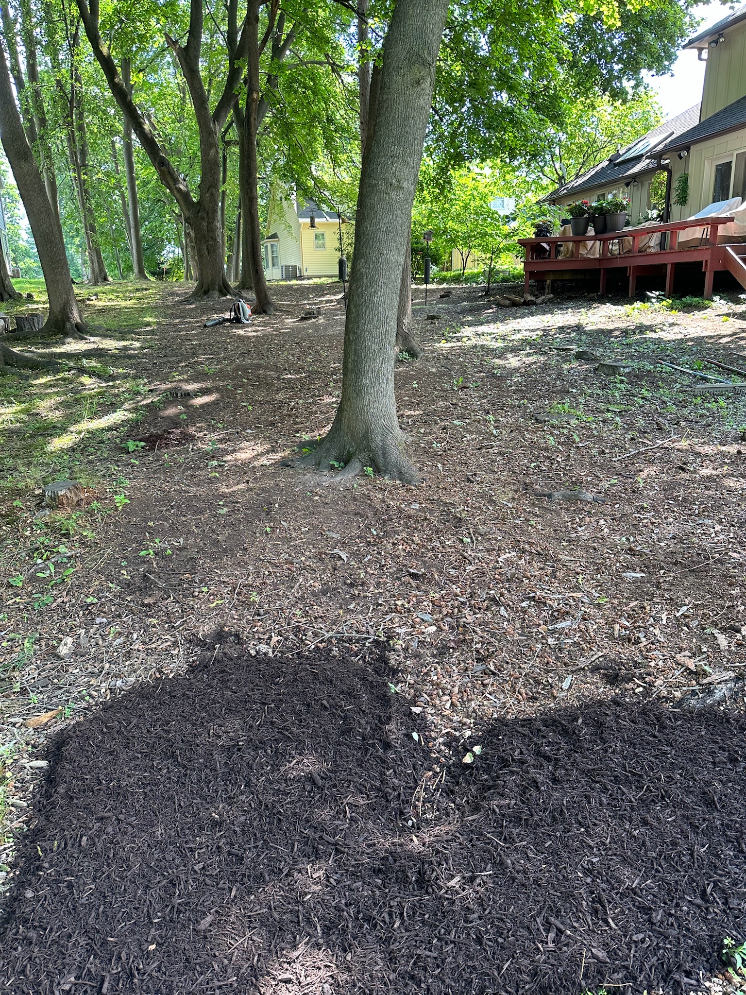2023 mulch refresh before photo